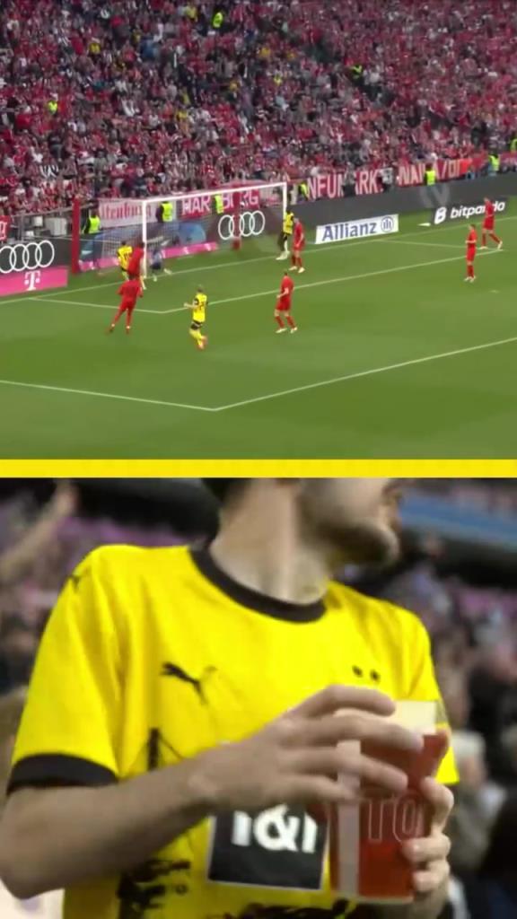 勇者無(wú)懼！這是真多特球迷！在拜仁球迷區(qū)一個(gè)人肆意慶祝！